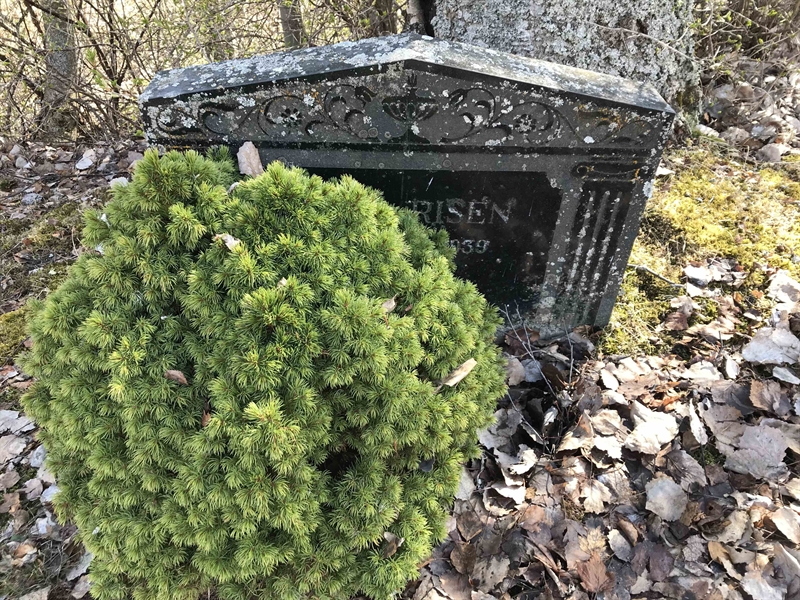 Grave number: UR SM     6