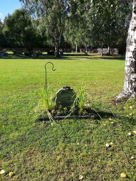 Hautatunnus: NK 18    46