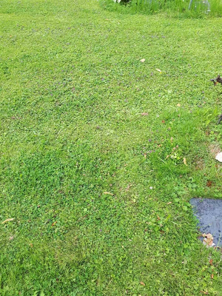 Hautatunnus: GK A 4   124H