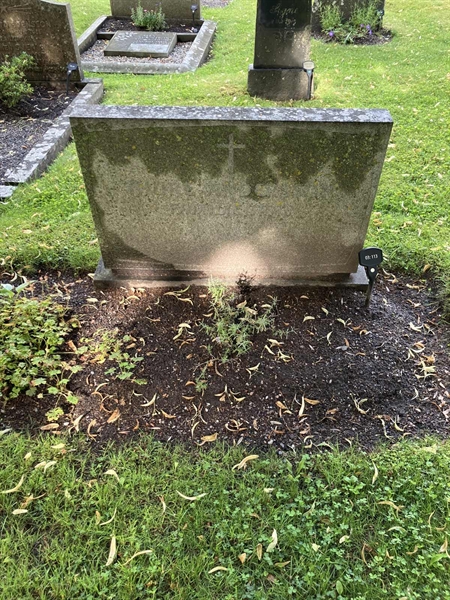 Grave number: 1 03   113