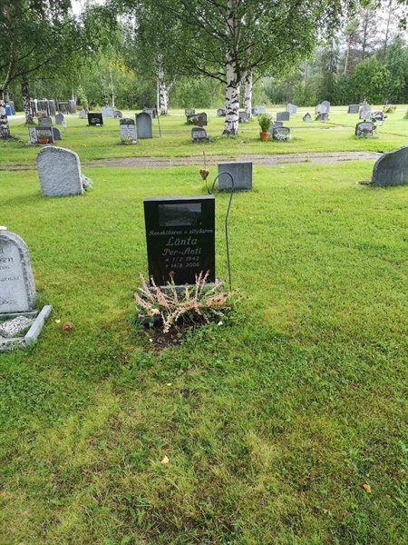 Hautatunnus: NK 17     3B