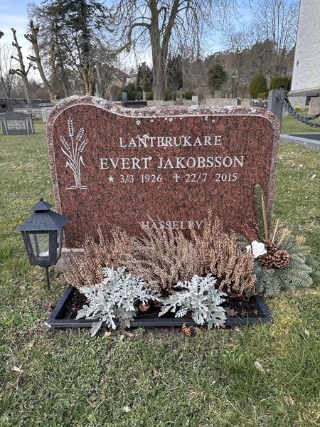 Grave number: LI 186