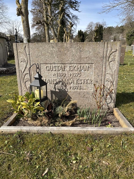 Grave number: LI 145