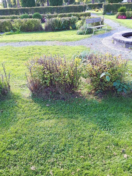 Gravnummer: NK F G   305