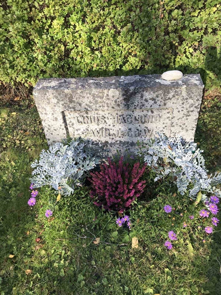Grave number: ÅR B   254, 255