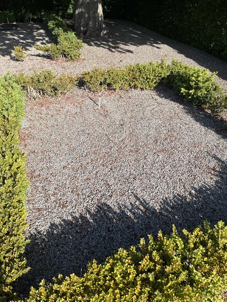 Grave number: NK E 150-151
