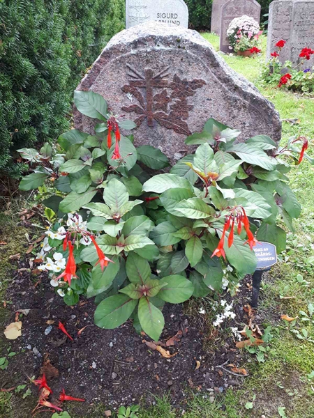 Hautatunnus: GK U 4   179