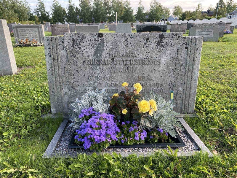 Grave number: 2 08 253