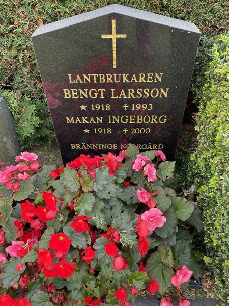 Hautatunnus: Kaga ga    89