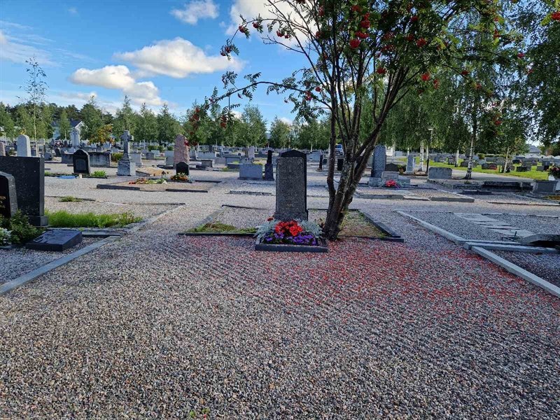 Grave number: 2 06   194