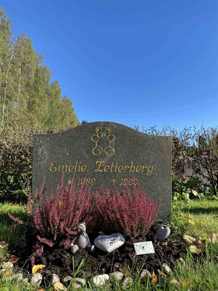 Grave number: 1 22     64