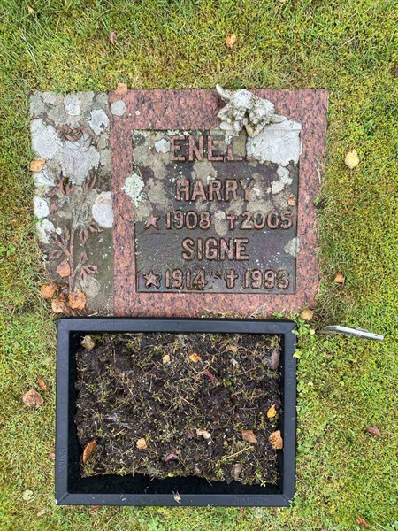 Grave number: 1 24    229