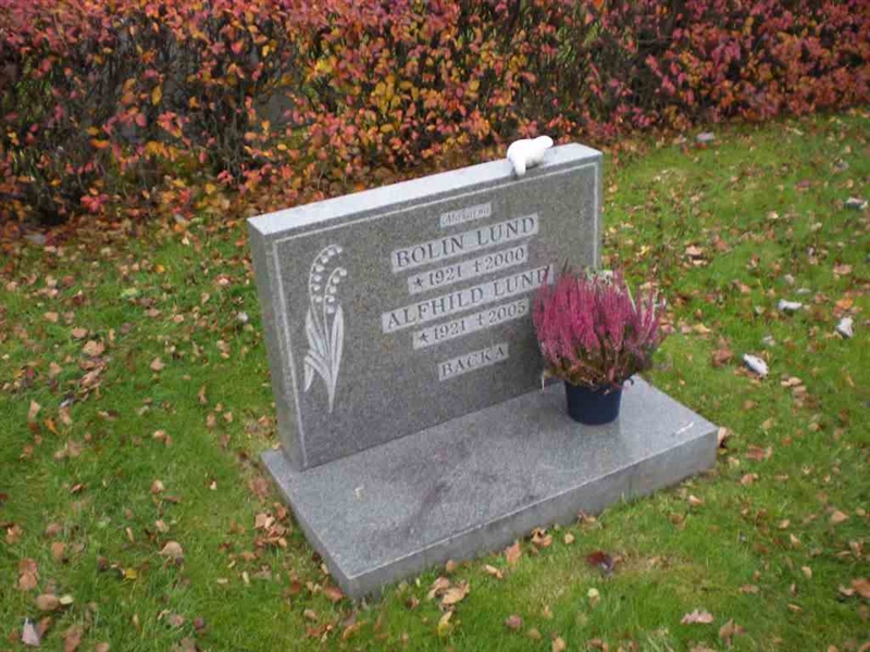 Grave number: N 008  0090