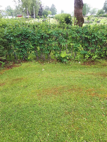 Gravnummer: GK F 5   436