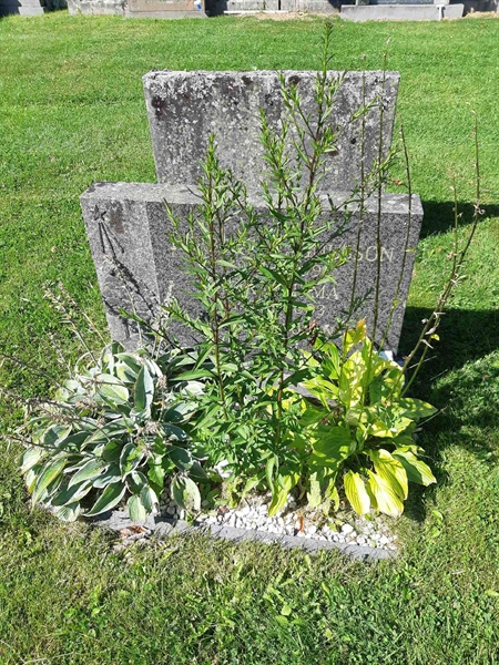 Hautatunnus: Fr 1 207-208