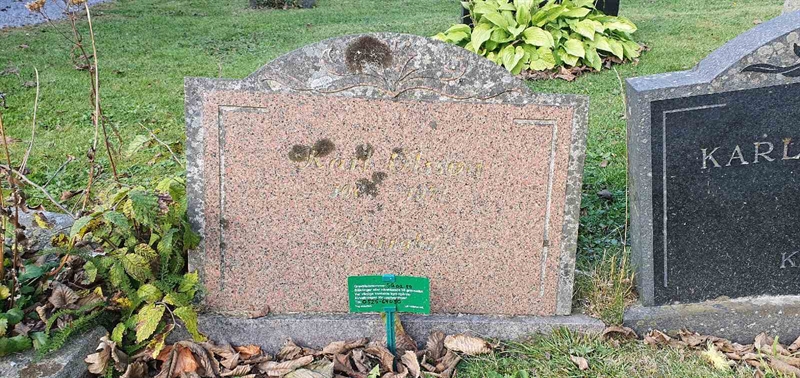 Grave number: SG 02    89