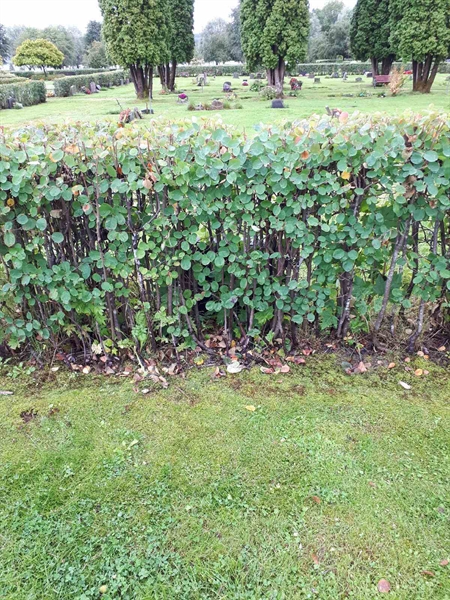 Gravnummer: NK F A    79