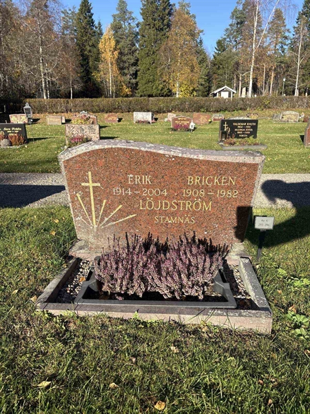 Gravnummer: R 4   293-294