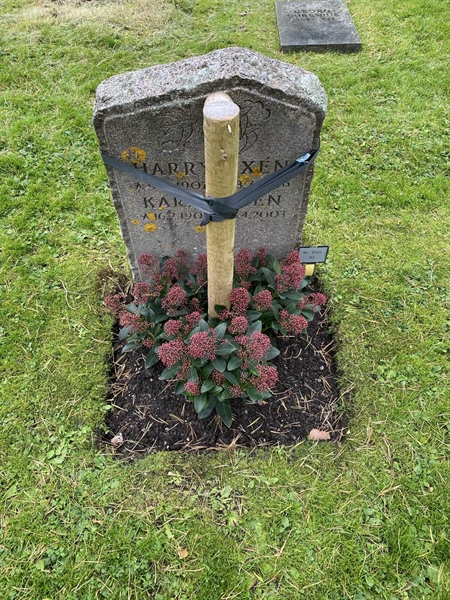 Hautatunnus: 2 E   113