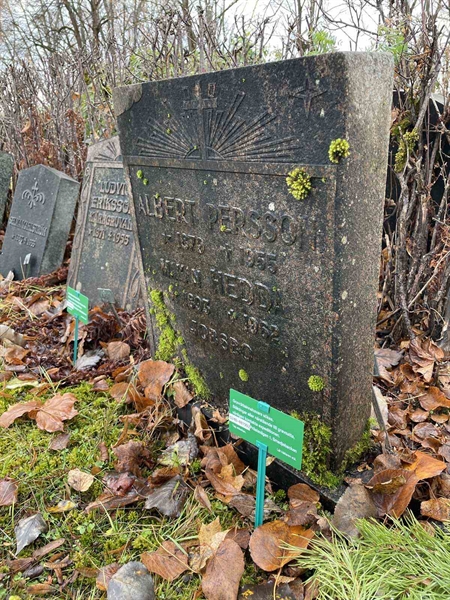 Gravnummer: GK A 3   460