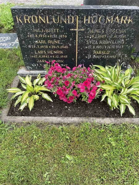 Gravnummer: N 4 3   429-430