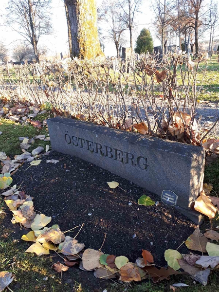 Gravnummer: GK F 3   313