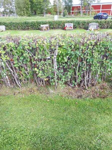 Hautatunnus: NK F B   123