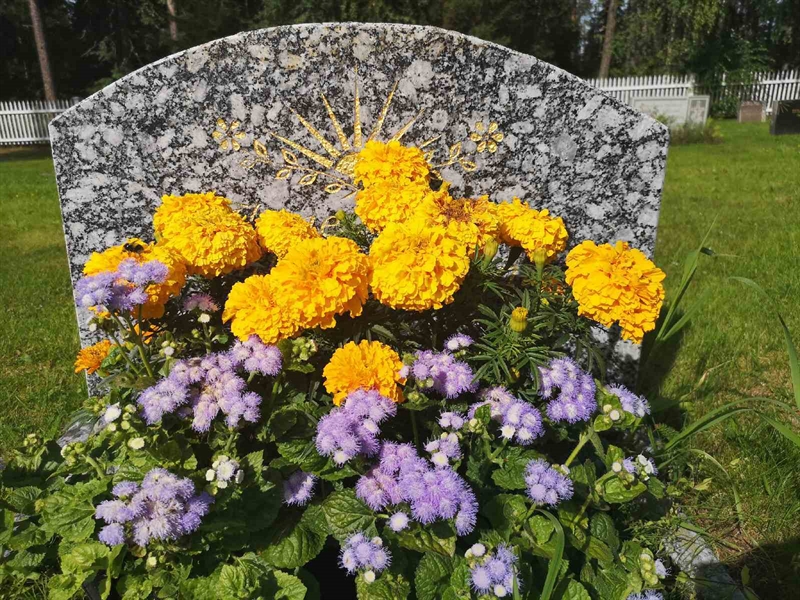 Gravnummer: POK 03    50