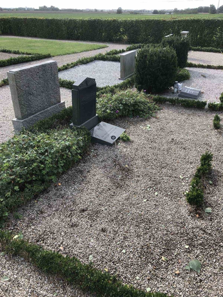 Grave number: TK N   350