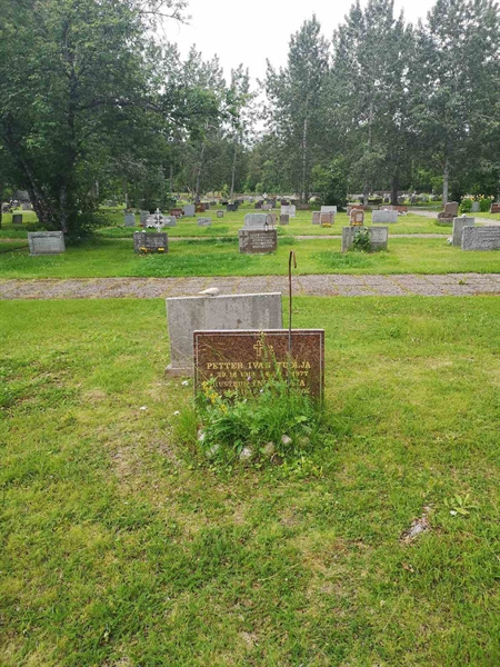 Hautatunnus: NK 09     8