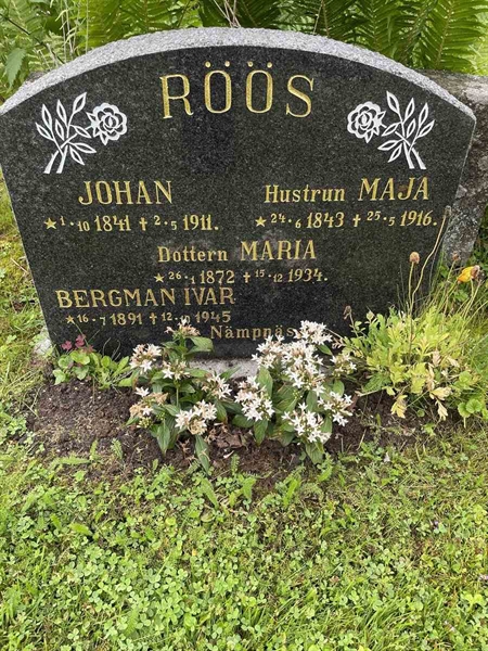 Gravnummer: N 4 4   559