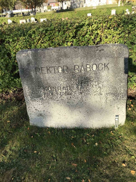 Grave number: ÅR B   258, 259
