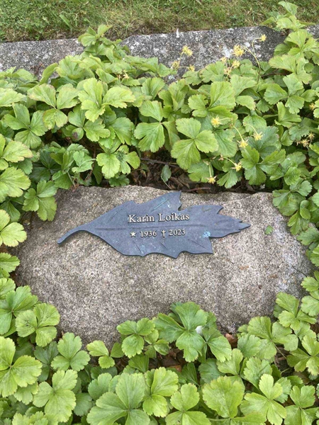 Gravnummer: MÖ G VI 18