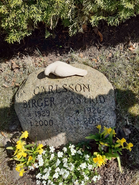 Grave number: HM 17  114