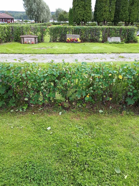 Hautatunnus: NK F C   149-150