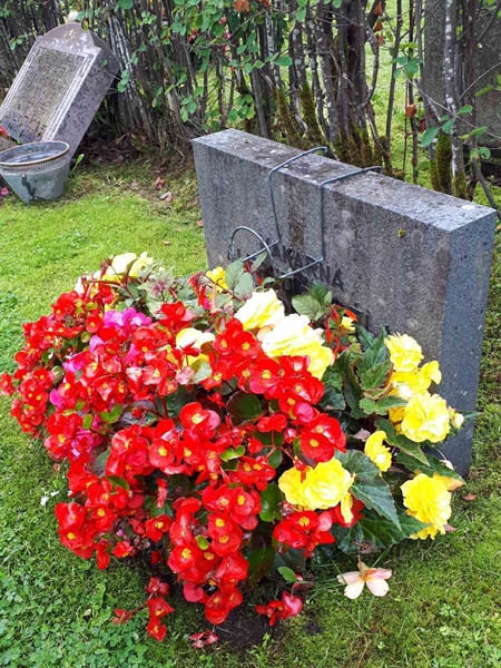 Hautatunnus: NK F A   176