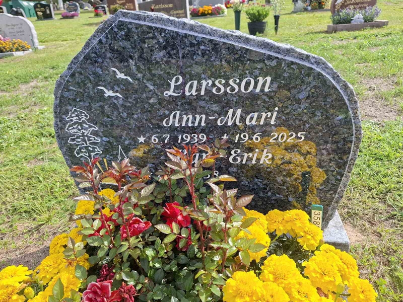 Grave number: 001 4  3582