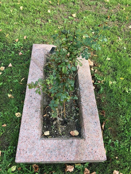 Grave number: HK 04    56