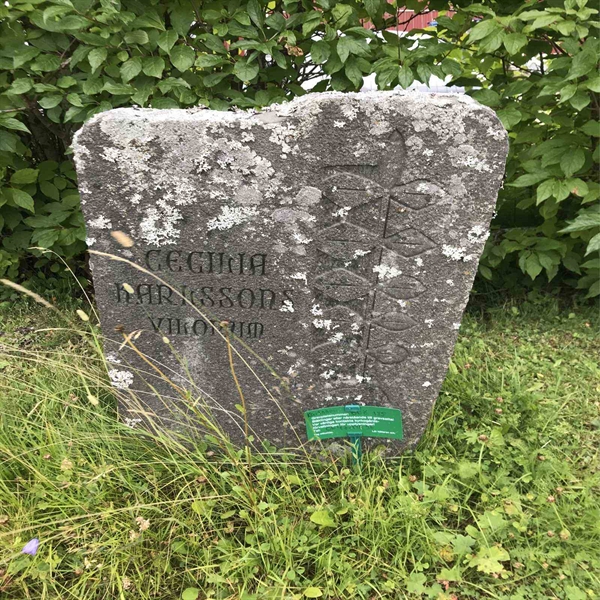 Grave number: DU Ö   185