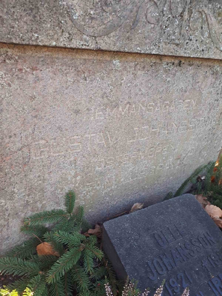 Gravnummer: GK F 3   309