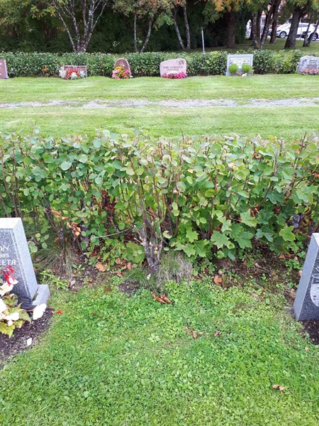 Gravnummer: NK F B    12