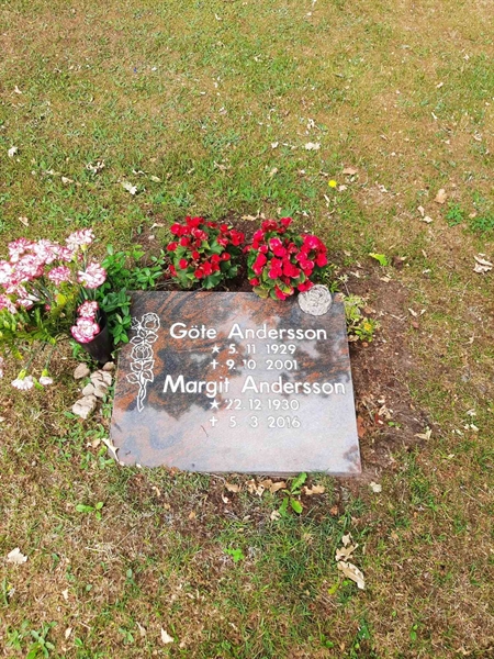 Grave number: M3 C   663