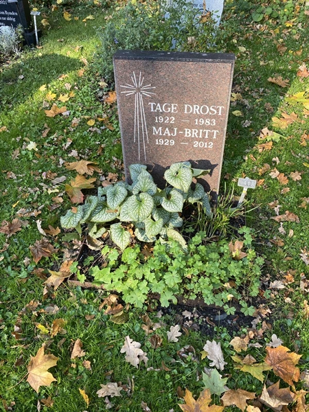 Hautatunnus: 1 H   418