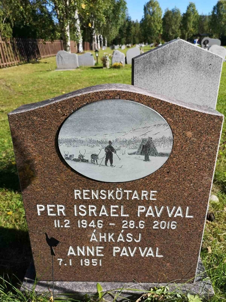 Hautatunnus: NK 22    77-78