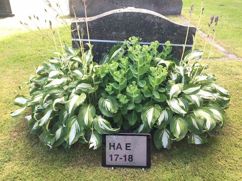Grave number: HA E    17, 18