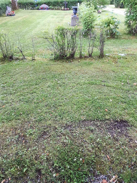 Gravnummer: GK F 5   433