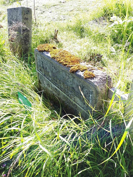 Hautatunnus: GK A 5   137M