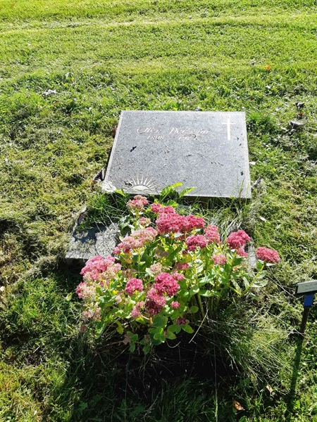 Hautatunnus: Fr 7   137