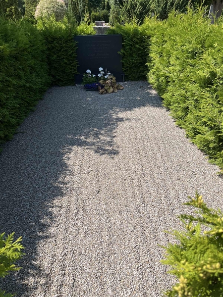 Grave number: NK VII    64