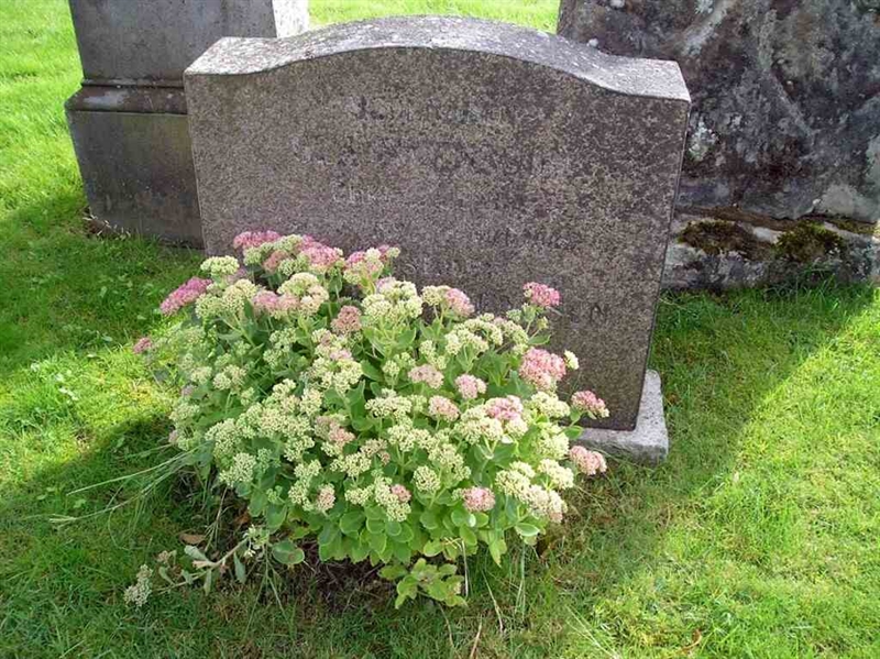 Grave number: GK D   41 a, 41 b